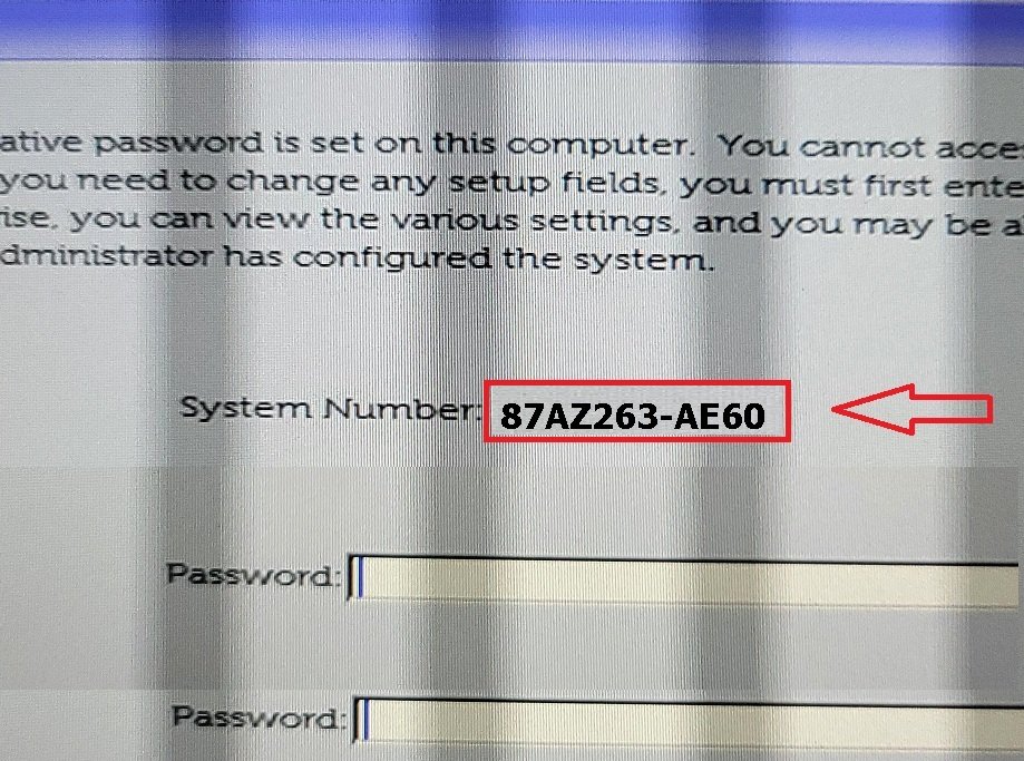 Dell AE60 bios master password